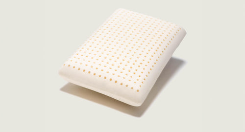 Perna Latex Aloe Vera 60x40x12.5 cm